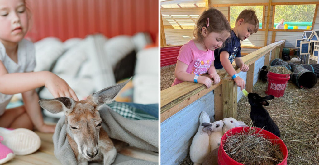 Meet Adorable Animals At This Hidden Tennessee Farm Near The Smoky Mountains