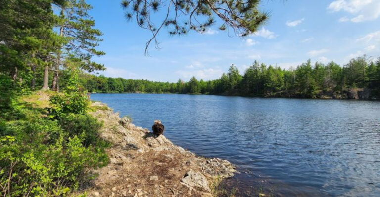 Most People Have Never Heard of This Stunning Lake in Michigan