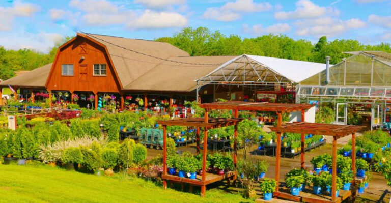 Mountain Views and Homemade Ice Cream Await at This Massive New Jersey Farm