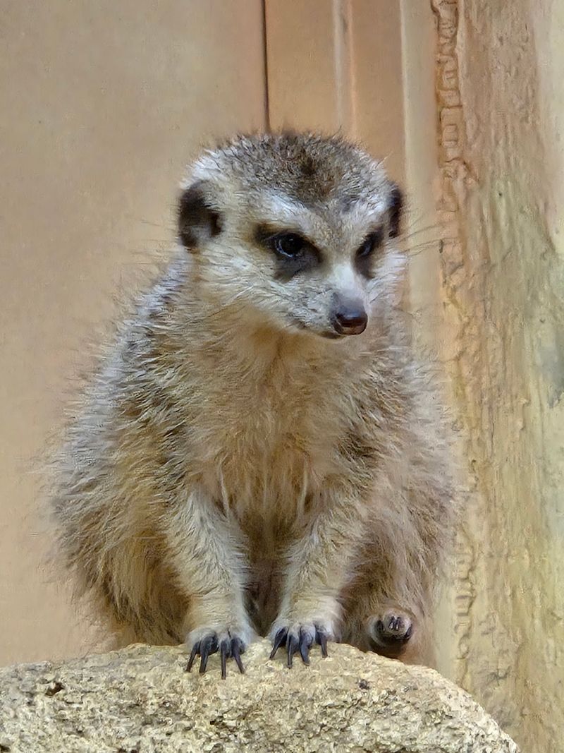 A Smaller Zoo That Lets You Actually See Things A Smaller Zoo That Lets You Actually See Things