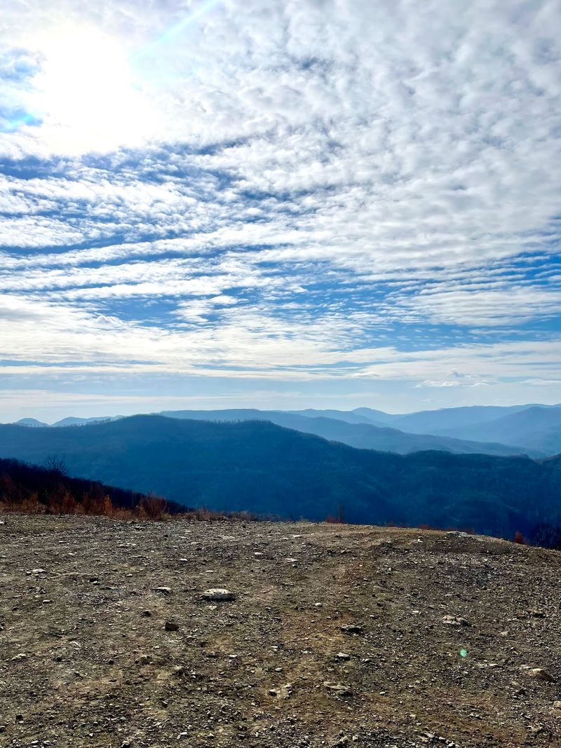 Spectacular Mountain Views and Wildlife Encounters Spectacular Mountain Views and Wildlife Encounters