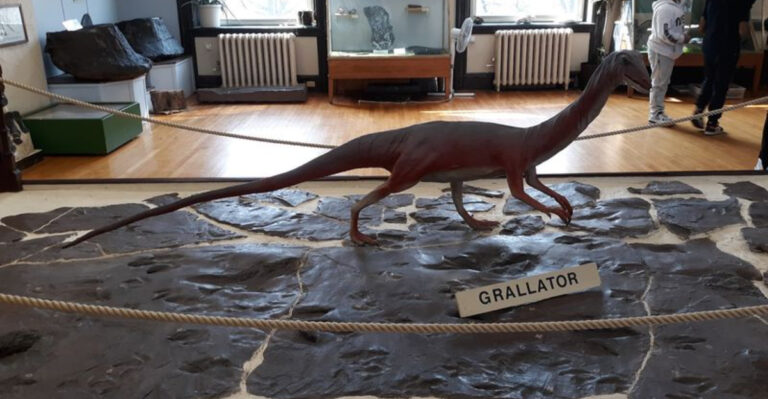 New Jersey’s Best-Kept Museum Secret Is Hiding on a College Campus