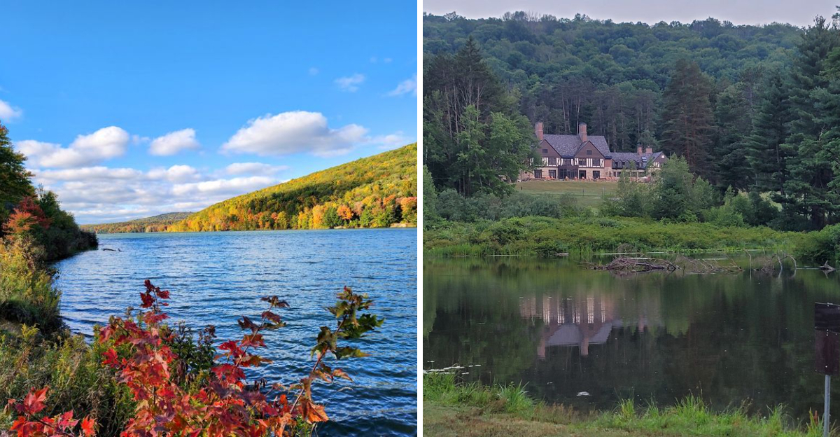 New York’s Largest State Park Is Filled With Scenic Roads, Lakes, And Endless Adventures