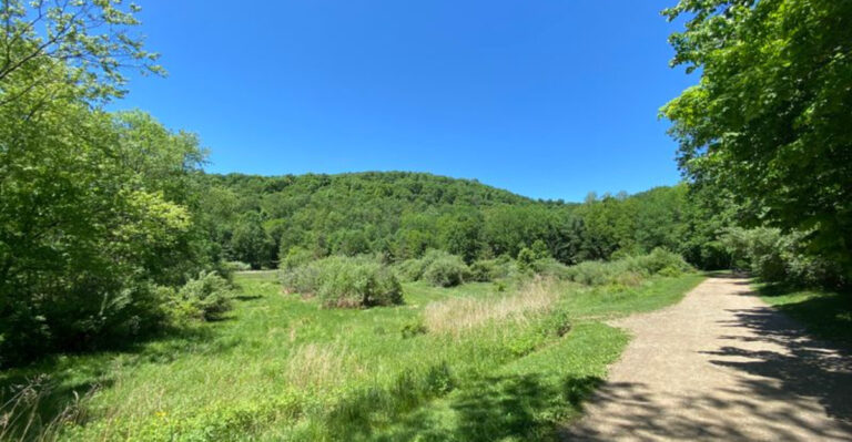 One of New Jersey’s Best Hikes Has a Surprisingly Intense Name