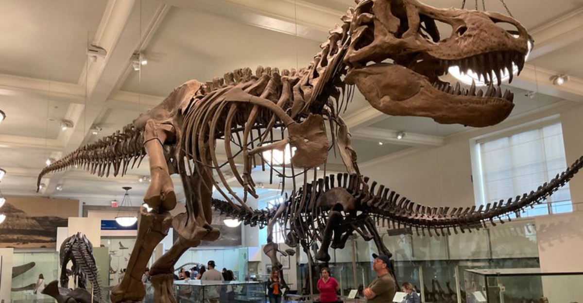 One Of The World’s Greatest Dinosaur Collections Is Right Here In New York