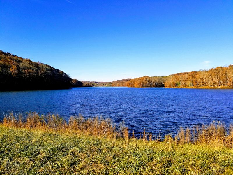 Trails, Lake Views, and the Search Between Stops Trails, Lake Views, and the Search Between Stops