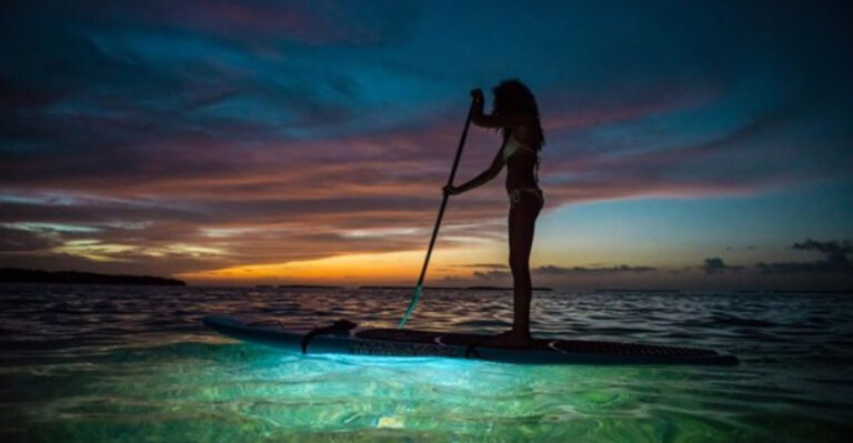 Paddle Through Glowing Water on This Unforgettable New Jersey Adventure