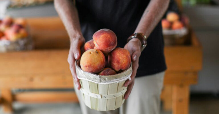 Peach Picking Is Only the Beginning at These 10 New Jersey Farms