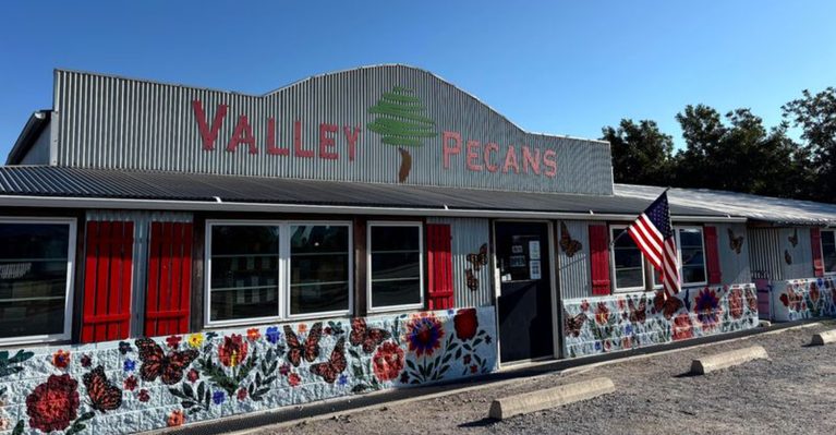 Pull Over For The Pecans, Stay For The Country Store At This Texas Farm