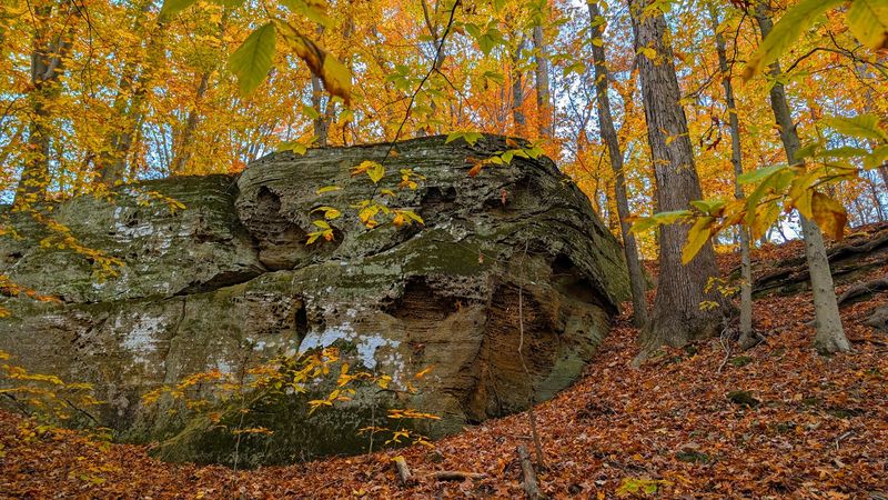 Canyon Forest Nature Preserve Canyon Forest Nature Preserve