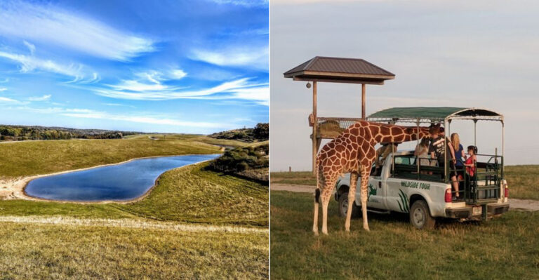Spend The Night At This Ohio Safari Park With Endangered Animals As Your Neighbors