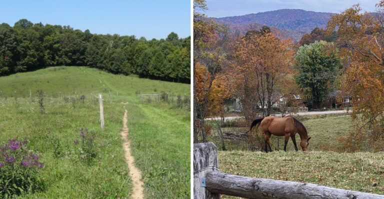 Summer Temperatures Barely Reach 80 Degrees In This Scenic Tennessee Mountain Community
