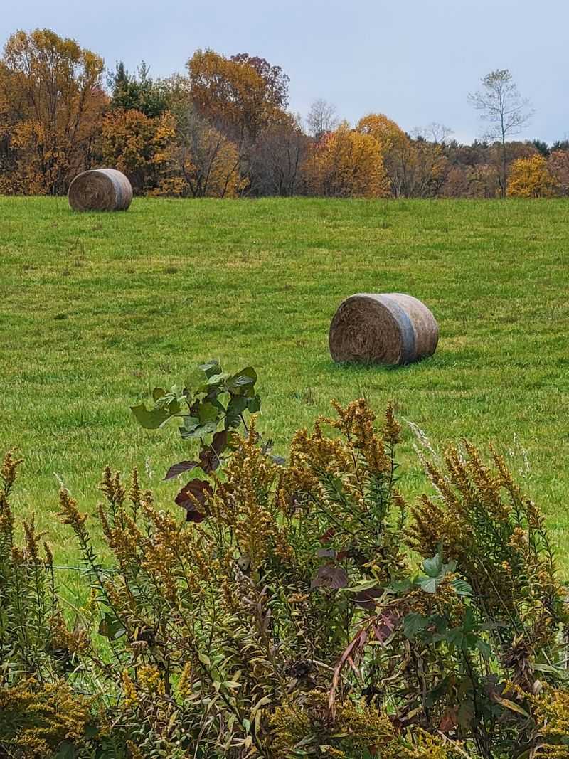 The Valley's Unique Geography Creates Natural Air Conditioning