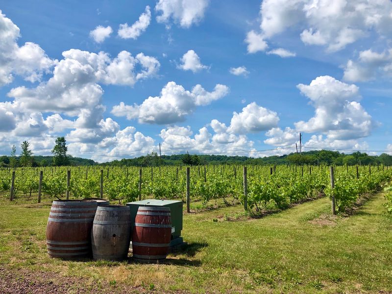 Hopewell Winery (Rockport)