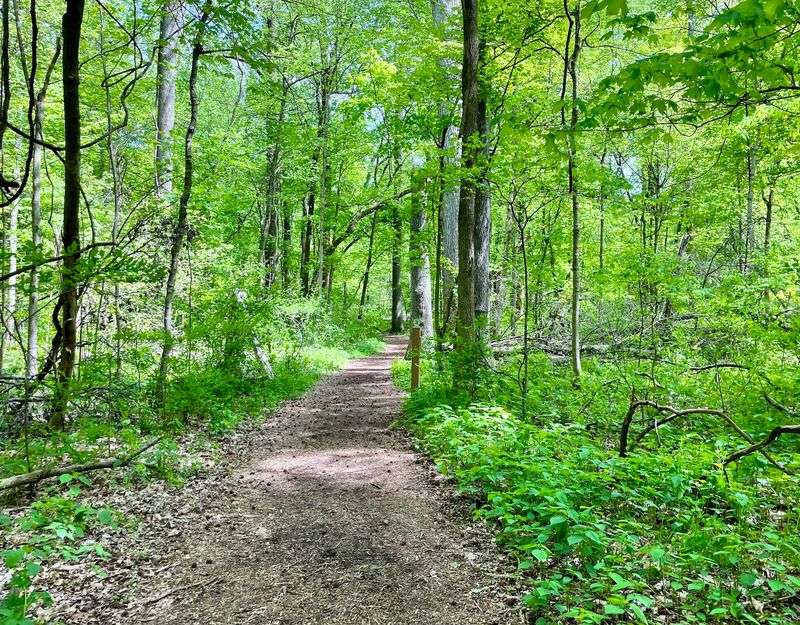 Trails That Keep the Wild Within Reach