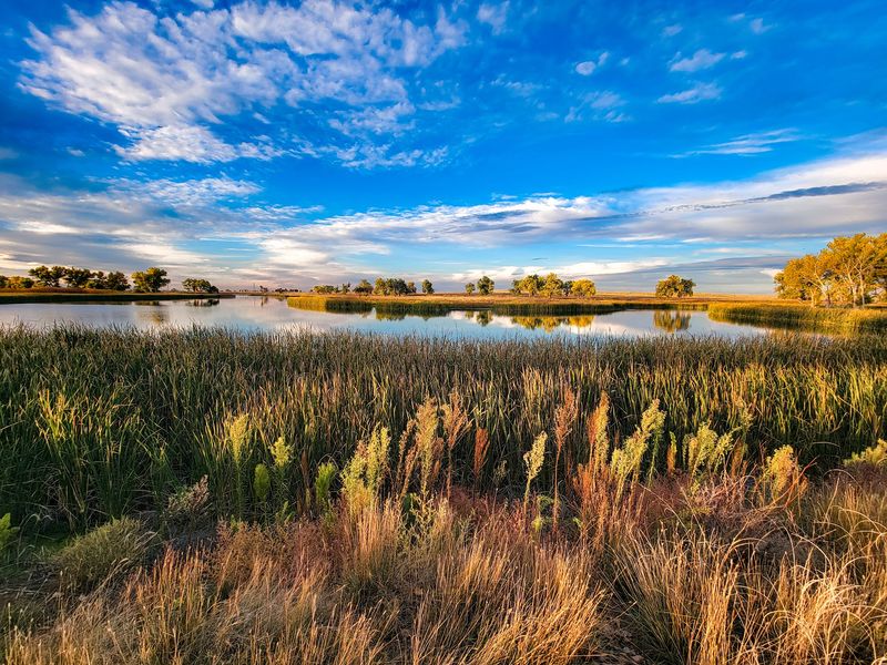 The Wildlife Drive That Changes Every Mile The Wildlife Drive That Changes Every Mile