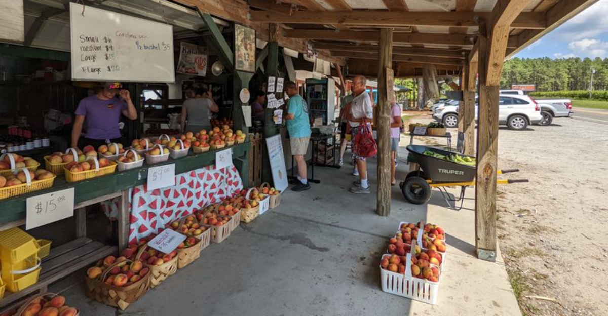 The Best Homemade Peach Ice Cream In North Carolina Is Waiting At This Tiny Farm Stand