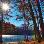 These 12 New Jersey State Parks Are Perfect for a Two-Day Reset