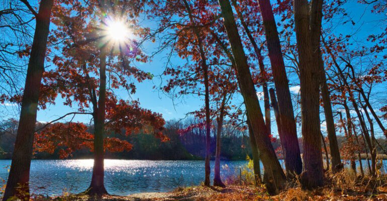These 12 New Jersey State Parks Are Perfect for a Two-Day Reset