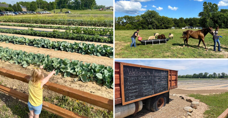 This 33-Acre Indiana Farm Lets Families Harvest Fresh Vegetables and Flowers for Free