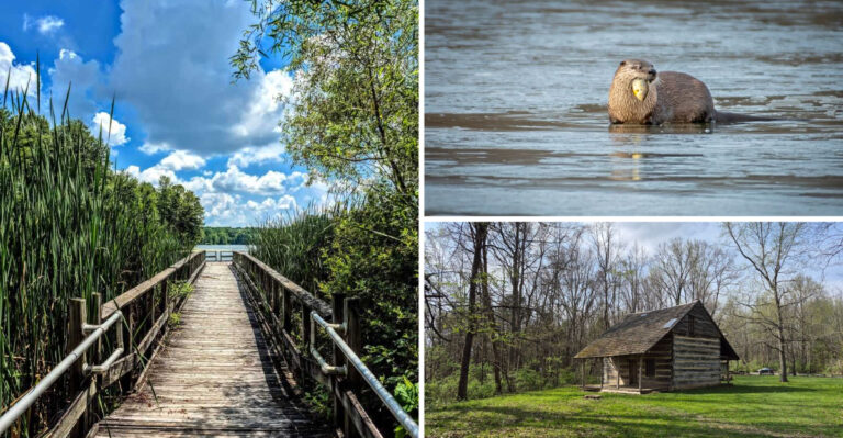 This 4-Mile Indiana Auto Loop Offers a Front-Row Seat to River Otters and Bald Eagles