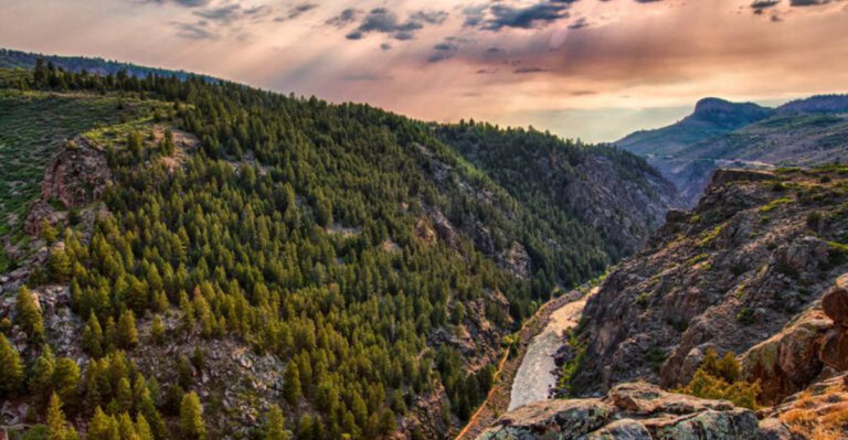 This Colorado Dark Sky Park Offers Spectacular Milky Way Views on August Nights