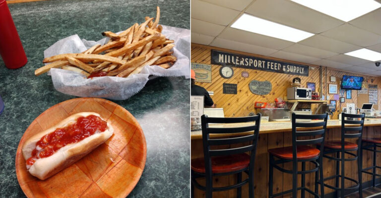 This Cozy Ohio Hole-In-The-Wall Is Known For Creative Hot Dogs And Fresh-Cut Fries