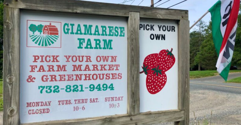 This Family-Owned New Jersey Farm Market Is Bursting With Summer Flavor