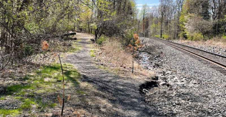 This Former Railroad Route Is Now One of New Jersey’s Most Rewarding Walks