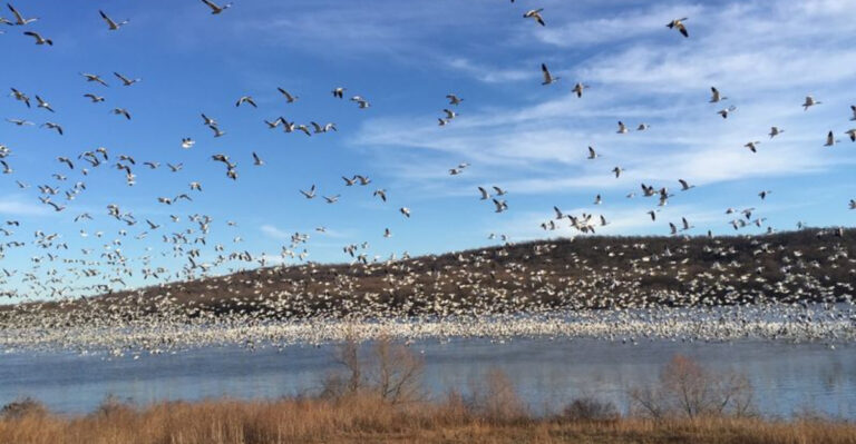 This Gorgeous Pennsylvania Park Has More Wildlife Than Most People Realize And It’s Absolutely Magical