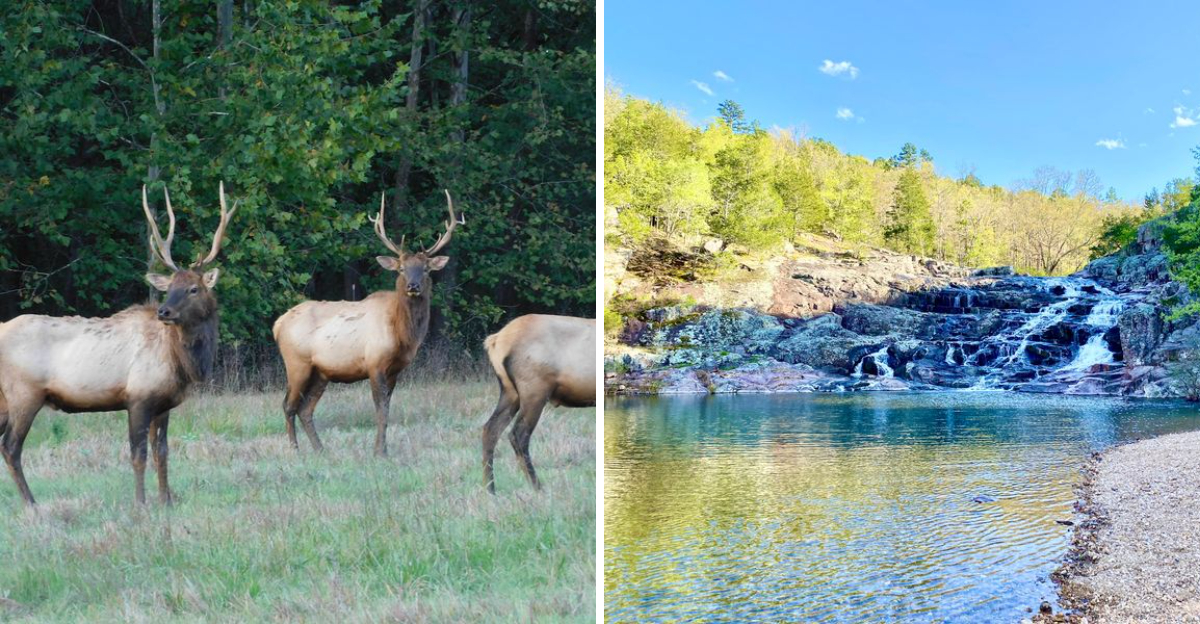 This Hidden Missouri Park Looks Like Something Straight Out Of A Nature Documentary