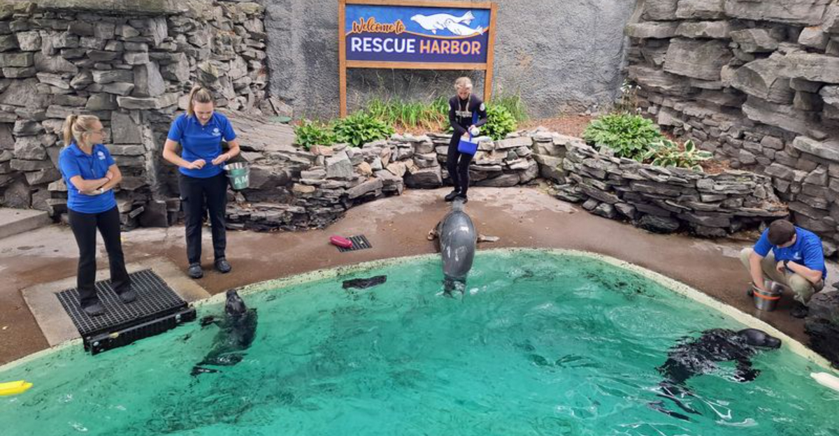 This Hidden New York Gem Is An Underwater World The Whole Family Will Love