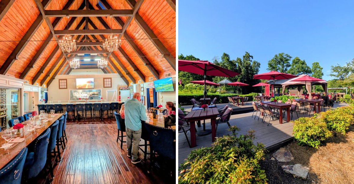 This Hidden North Carolina Winery Is The Kind Of Place You’ll Want To Revisit