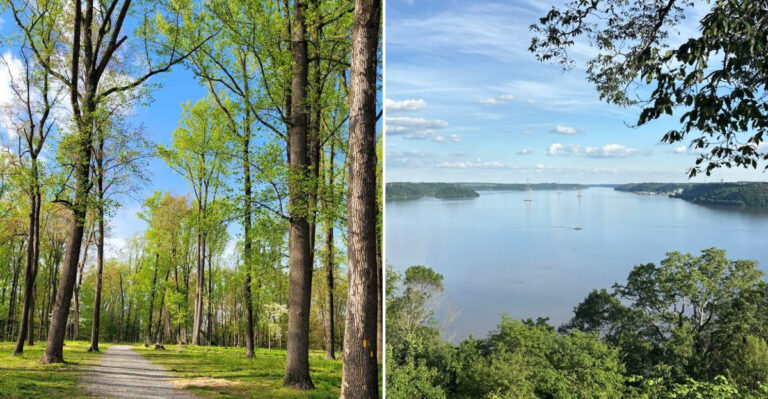 This Hidden Park In Pennsylvania Will Make You Forget The Rest Of The World Exists