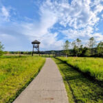 This Illinois Nature Center Lets You Wander Boardwalks Through Wetlands Filled With Herons and Turtles