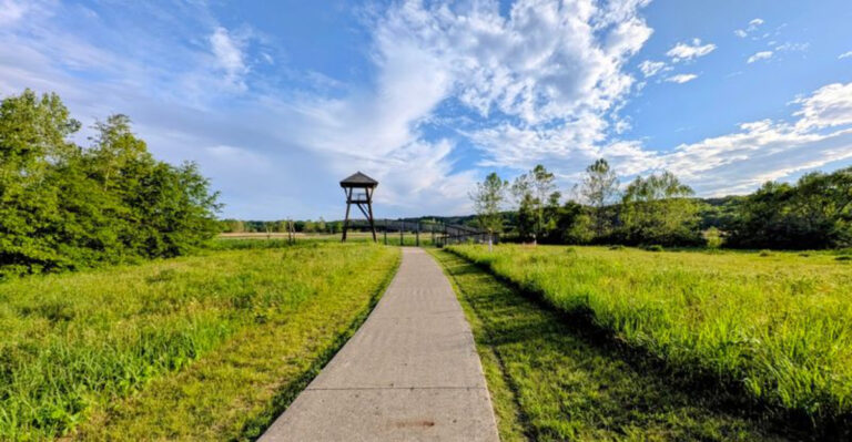 This Illinois Nature Center Lets You Wander Boardwalks Through Wetlands Filled With Herons and Turtles