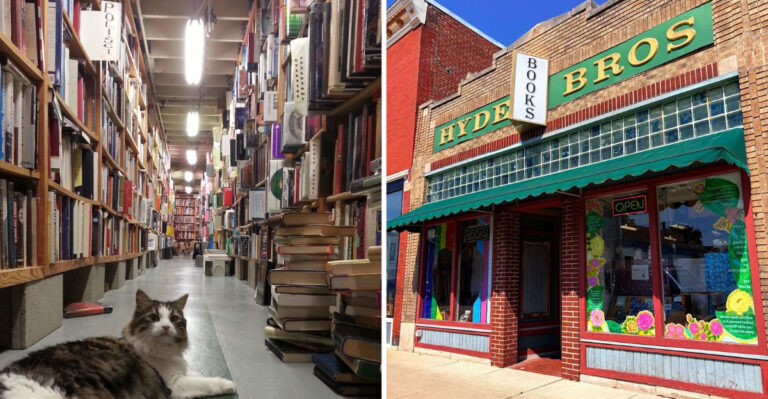 This Indiana Bookstore Has So Much to Offer, Rushing Feels Impossible