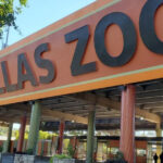 This Massive Texas Zoo Is So Big, You’ll Want to Spend the Entire Day Exploring
