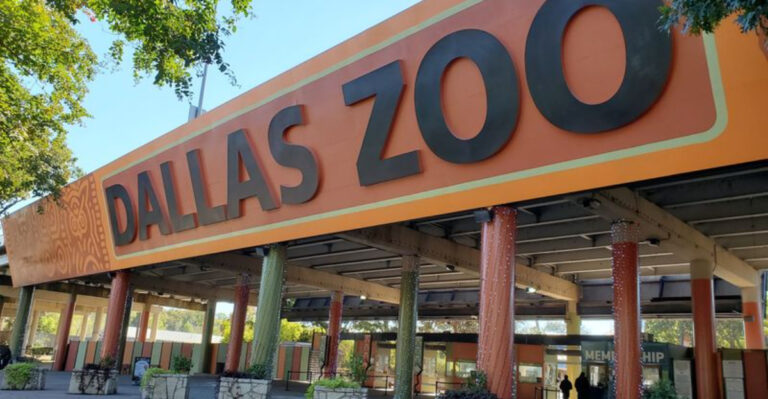 This Massive Texas Zoo Is So Big, You’ll Want to Spend the Entire Day Exploring
