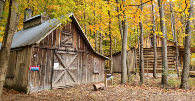 This Michigan Nature Preserve Rescues Wildlife And Restores 170-Year-Old Buildings