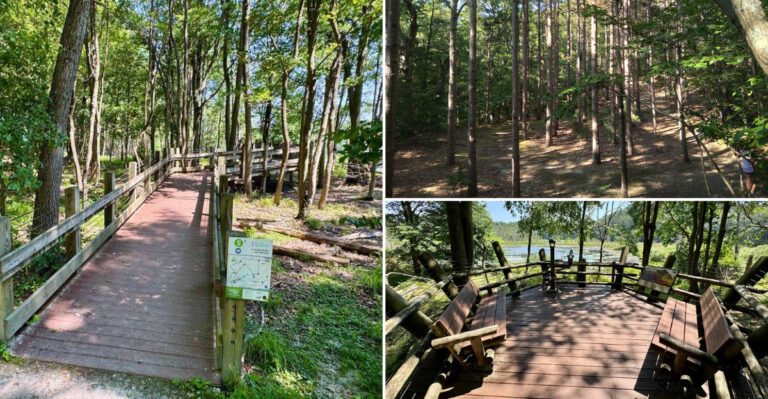 This Michigan Trail Takes Hikers On A Scenic Route Along Lost Lake