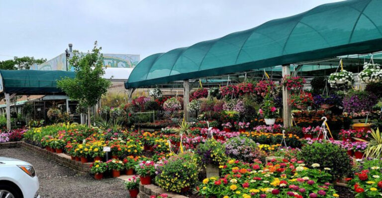This New Jersey Farm Market Is Famous for Homemade Pies and Cider Donuts