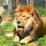This New Jersey Zoo Has 500 Animals and a Museum You Would Never Expect
