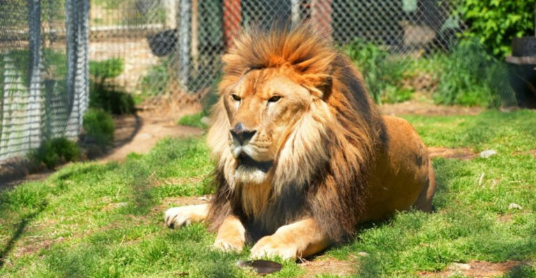 This New Jersey Zoo Has 500 Animals and a Museum You Would Never Expect