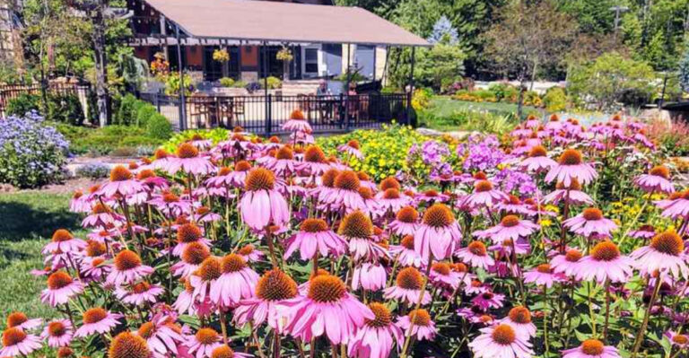 This Ohio Butterfly Garden Is Worth Exploring Before The Season Ends