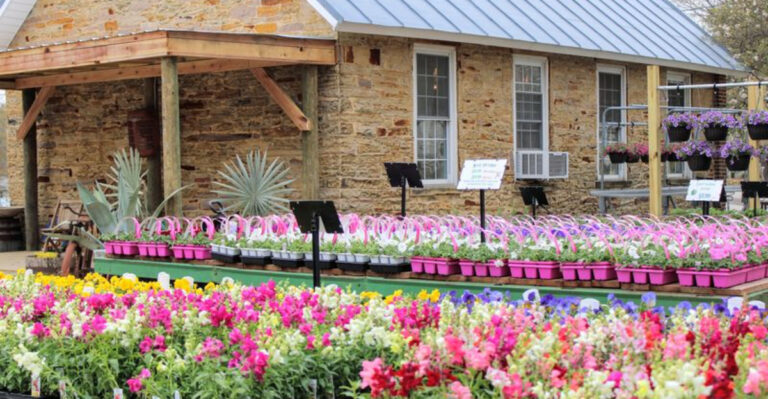 This Ohio Greenhouse Feels More Like A Groovy Getaway Than A Quick Plant Run