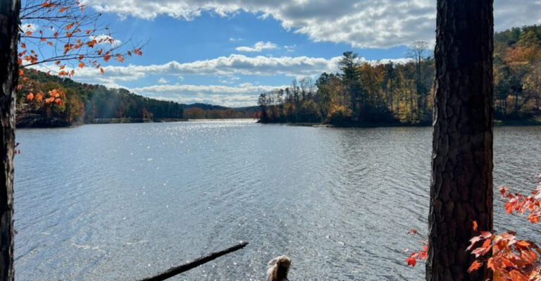This Ohio State Park Has A Gorgeous Lake That Deserves More Attention