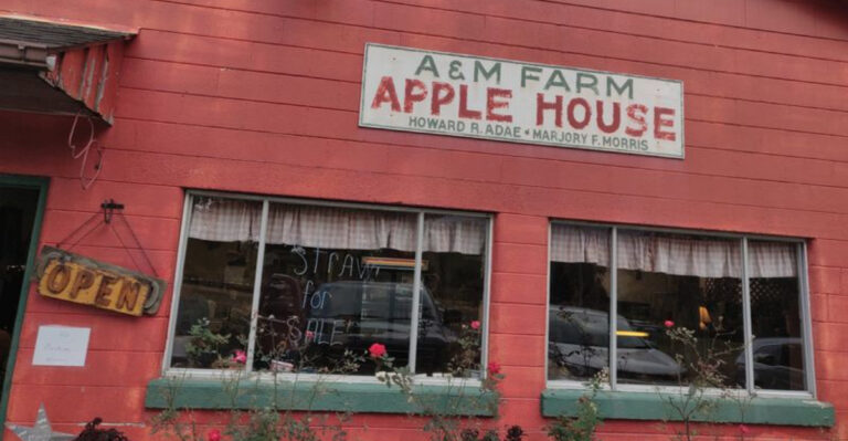 This Old-Fashioned Ohio Apple Orchard Has Some Of The Best Cider In The State