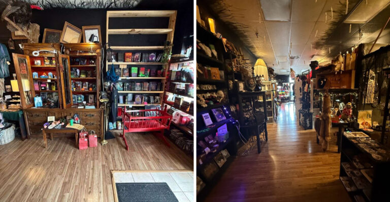 This One-Of-A-Kind Tennessee Bookstore Is A Dream For Horror And Oddity Fans
