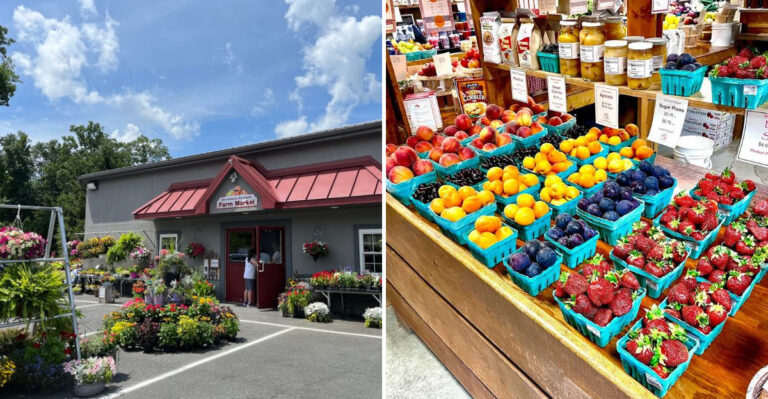 This Pennsylvania Farm Lets You Pick Berries So Delicious They Might Spoil Regular Fruit